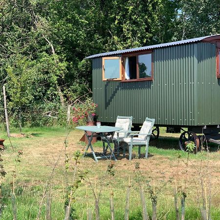 Sindles Farm Bed and Breakfast Emsworth Exteriör bild
