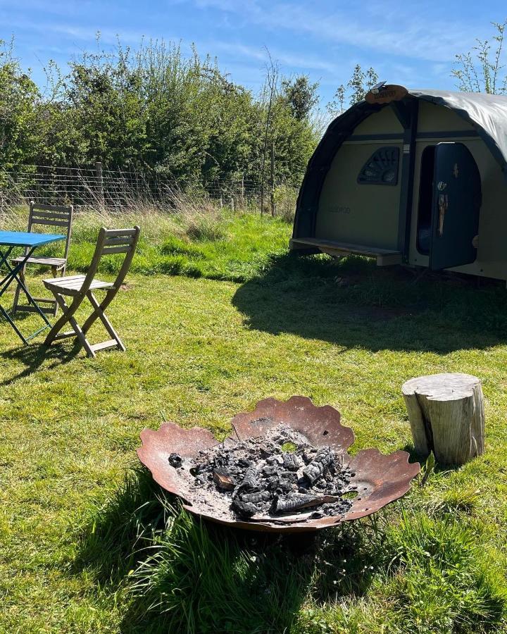 Sindles Farm Bed and Breakfast Emsworth Exteriör bild