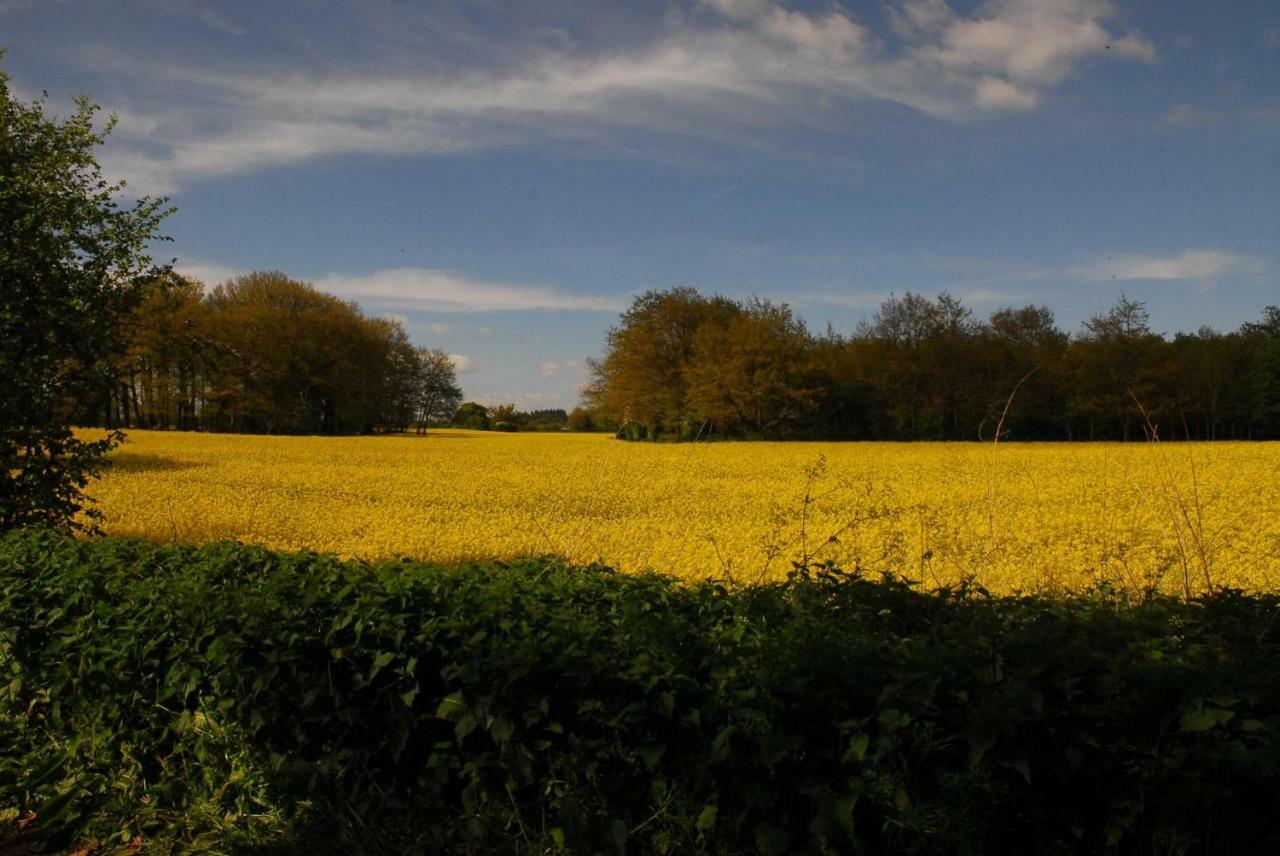 Sindles Farm Bed and Breakfast Emsworth Exteriör bild